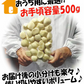 青森県産 むき身にんにく500g【真空冷凍】
