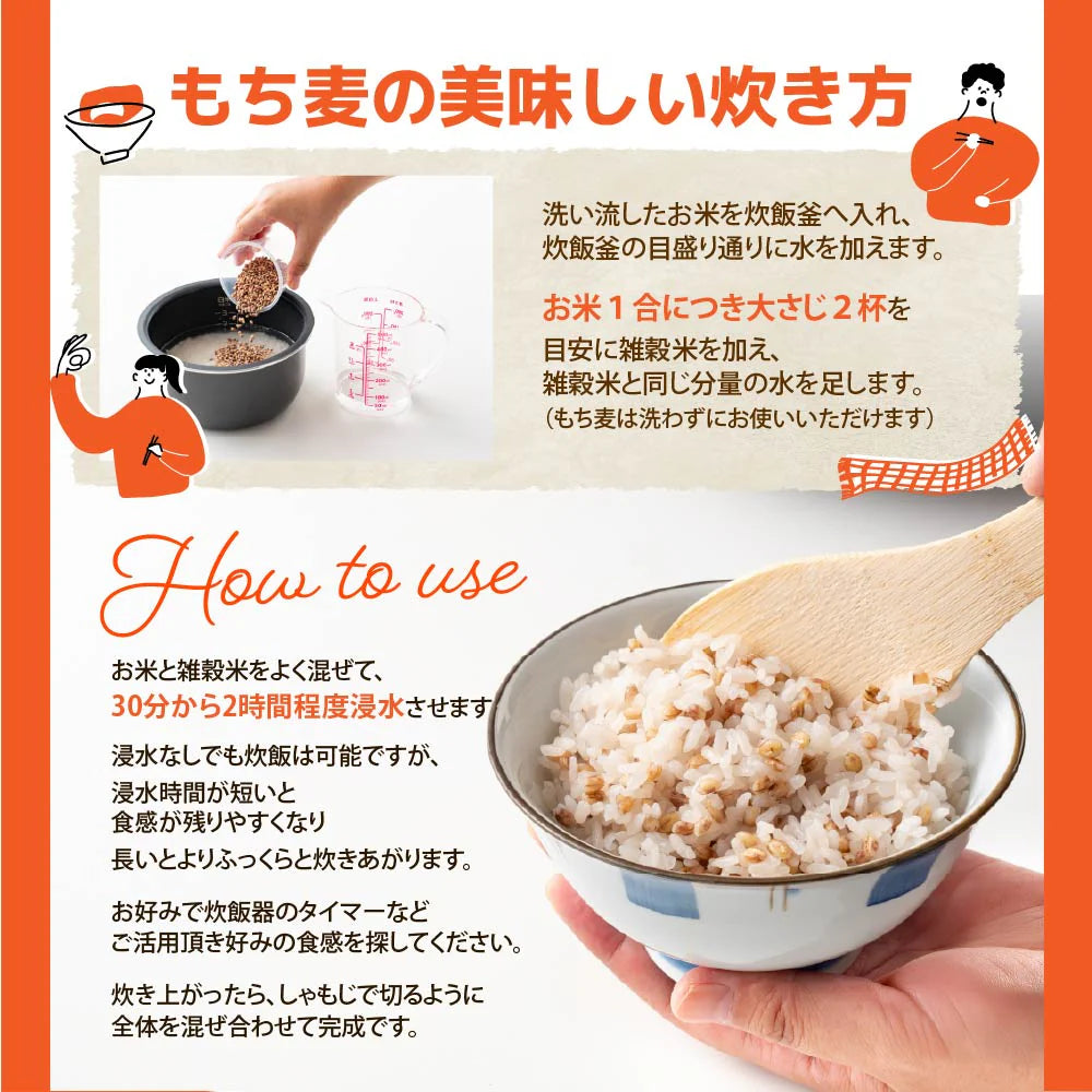 雑穀 雑穀米 国産 もち麦 4kg(400g×10袋) 徳用サイズ 無添加 無着色 送料無料 ダイシモチムギ