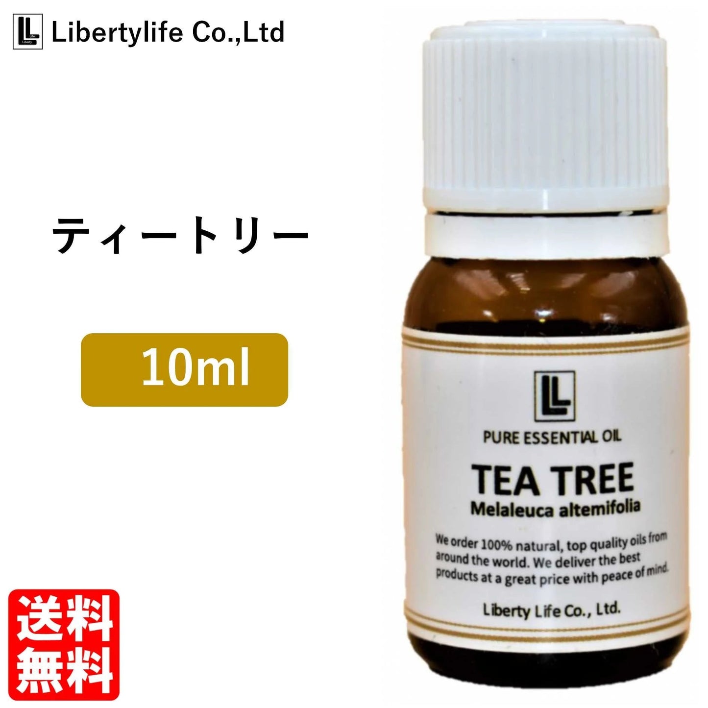 アロマオイル ティートリー ティートゥリー (ティーツリー) 精油 エッセンシャルオイル  (10ml)