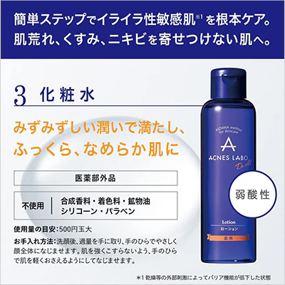 アクネスラボ スキンケアお試しセット×10個