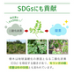 沖縄県産　モリンガ《約1ヶ月分》 モリンガ 粒 150粒 無農薬栽培 着色料 保存料 不使用