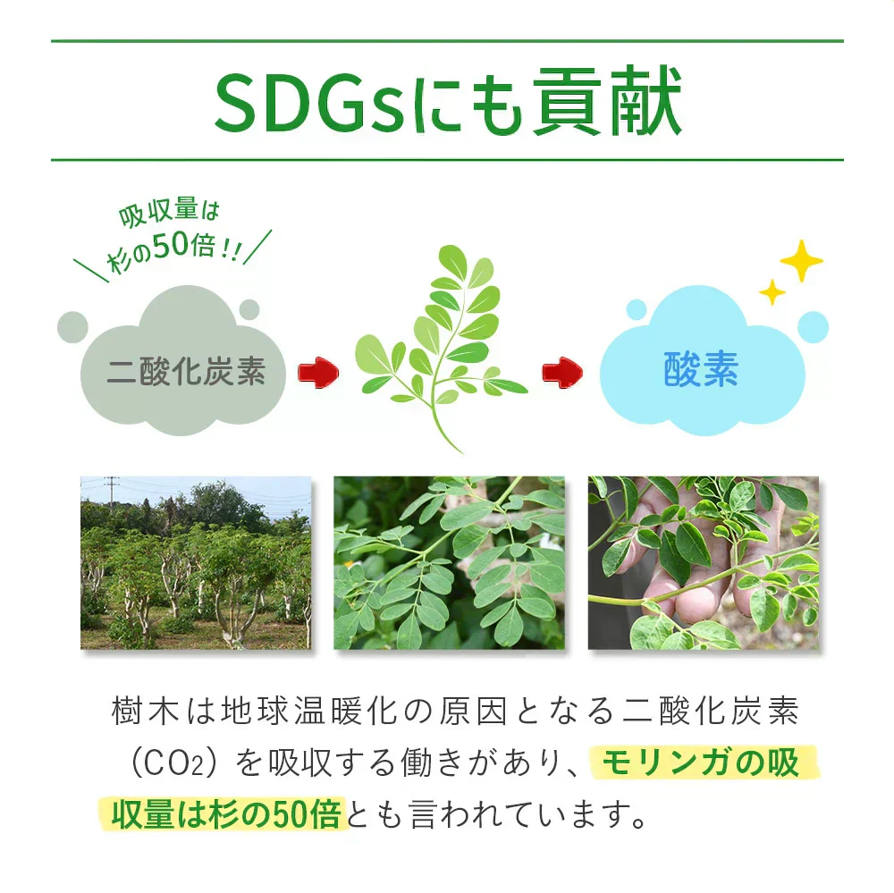沖縄県産　モリンガ《約1ヶ月分》 モリンガ 粒 150粒 無農薬栽培 着色料 保存料 不使用