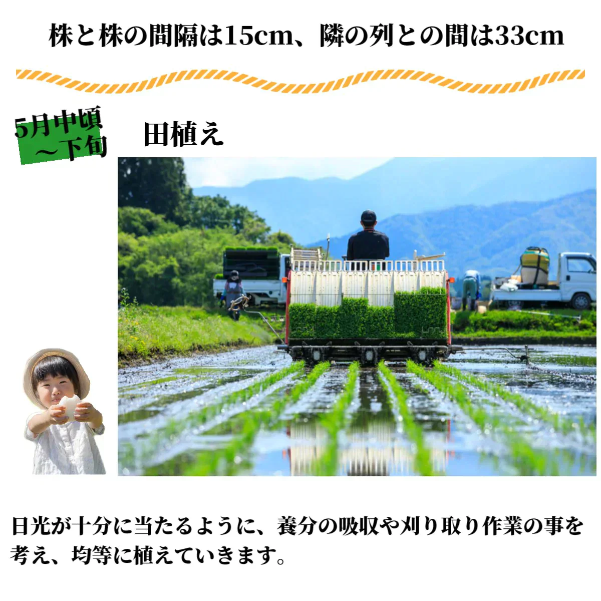 北海道産 ゆめぴりか 5Kg 新米 令和6年産 米 白米 精米 お米 国産 美味しい米 北海道のお米 こだわり製法 定温保管 低温精米 国産米 おいしいお米 お取り寄せグルメ 美味しい おいしい  北海屋 紋別