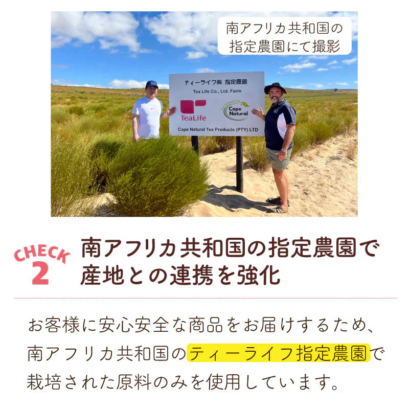 【3/8～3/13出荷予定】黒豆 ルイボスティー こだわりブレンド 100個入 3袋セット（ 水出しOK ノンカフェイン ティーバッグ 大容量）