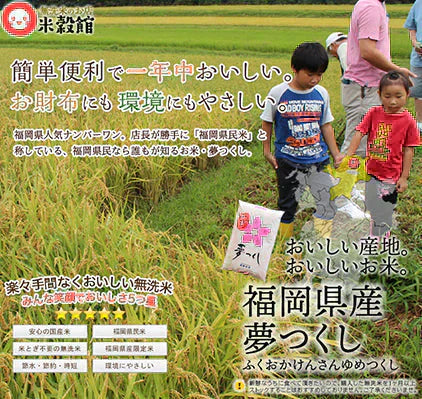 令和7年産 米10kg 送料無料 無洗米 福岡県 人気 送料無料 米 10キロ 九州 「夢つくし」 九州産 米