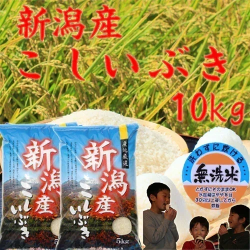 新米10kg 令和8年 無洗米 新潟産 こしいぶき 米 10kg 無洗米 5kg×2袋 米10kg 農家直送 米１０キロ