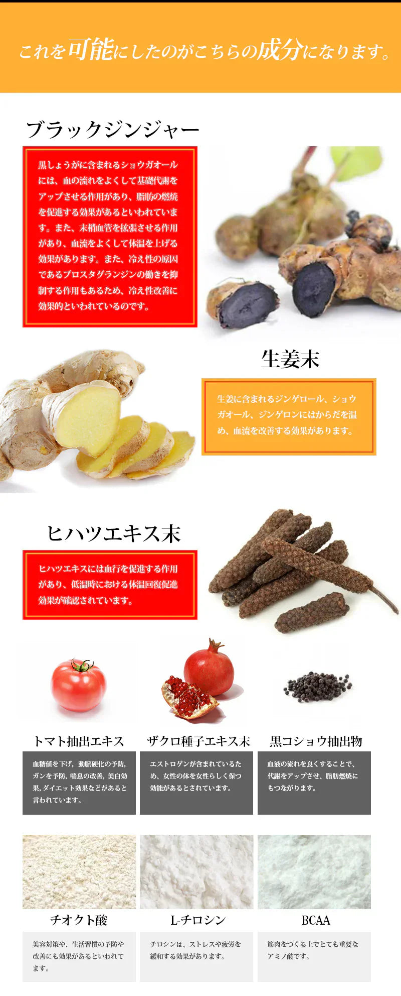 ブラックジンジャー ダイエット専用 黒しょうが濃縮 燃える サプリメント ポカポカ習慣 スリム 生姜 ブラックジンジャー ダイエット サプリ  黒ウコン デキストリン 黒コショウ アミノ酸 Black Ginger Diet  燃焼 ダイエットサポート 痩せる　激やせ 短期 減量 サプリメント