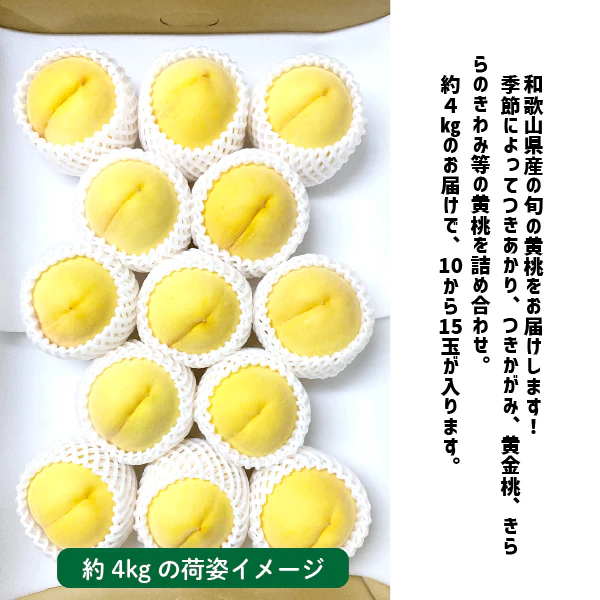 黄桃 約4kg 数量限定 ギフト 和歌山県産 贈答用 きららのきわみ つきかがみ 黄金桃 つきあかり 桃