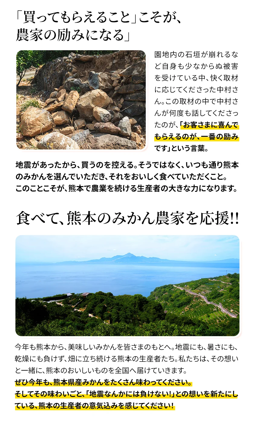 【大容量】熊本県産 訳あり 小玉 みかん 9kg 熊本 送料無料 小玉みかん ミカン フルーツ お取り寄せ 柑橘 フルーツ 果物   《9月中旬-10月中旬頃より発送予定》
