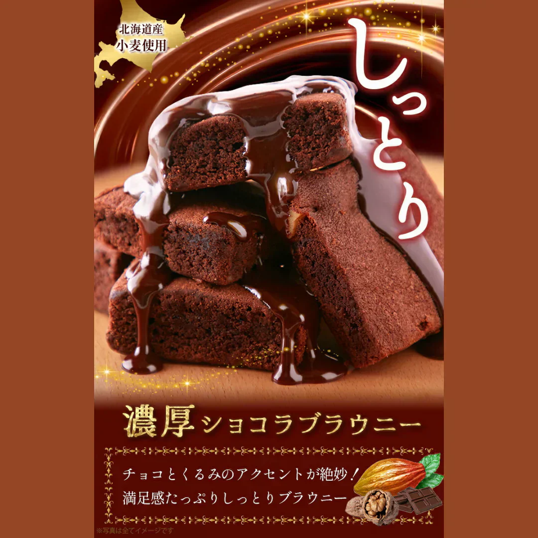 .濃厚ショコラブラウニー5個.【DS08】