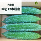 【農家直送！】鹿児島産 -甘塩ゴーヤ-（3kg,12本前後）採れたて新鮮！ / 野菜 / 沖縄 / チャンプル / 佃煮 / 天ぷら / にがうり / 苦瓜 / 煮物 / サラダ / 新鮮 / 農産物 / 無農薬 / 送料無料【特産品・ご当地特集】