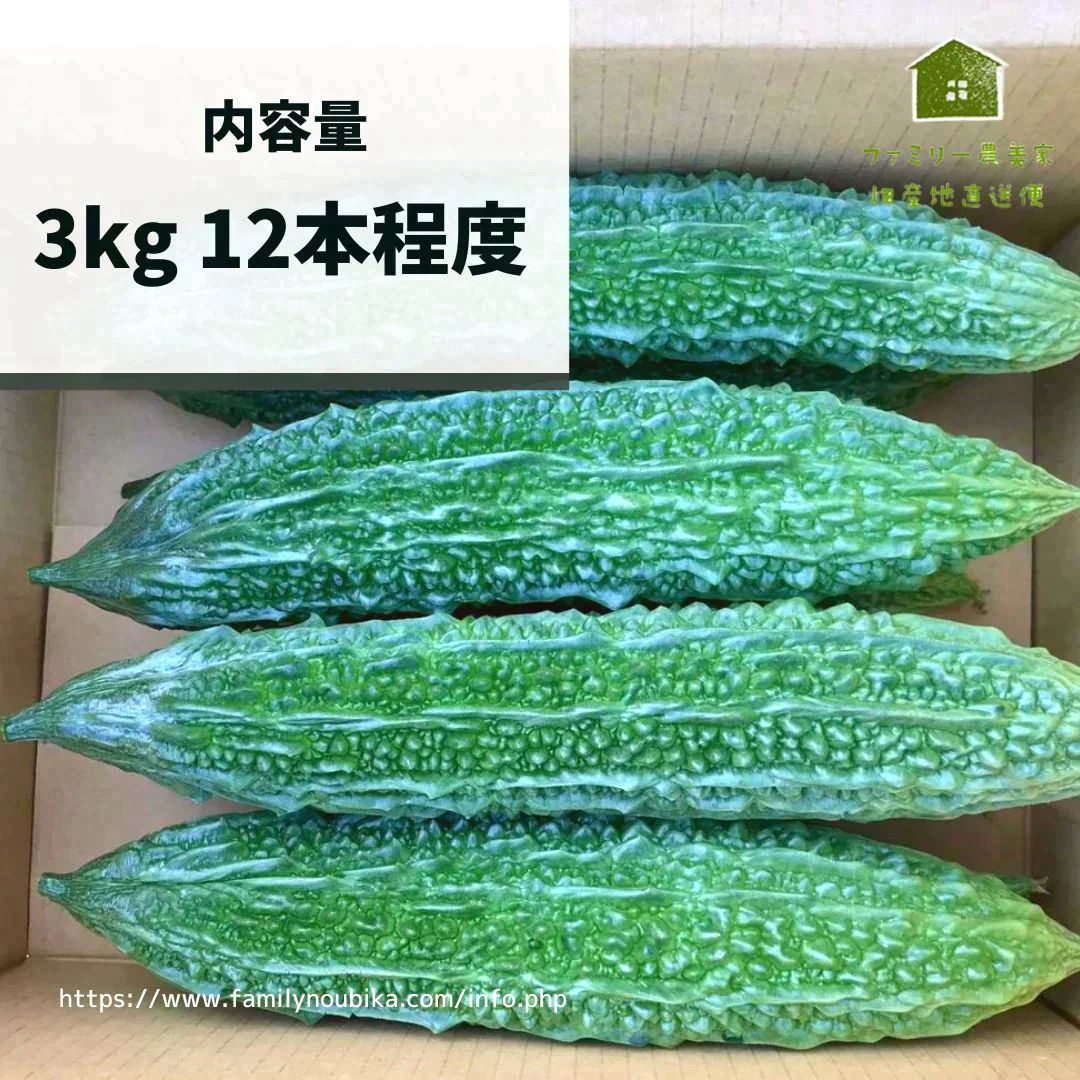 【農家直送！】鹿児島産 -甘塩ゴーヤ-（3kg,12本前後）採れたて新鮮！ / 野菜 / 沖縄 / チャンプル / 佃煮 / 天ぷら / にがうり / 苦瓜 / 煮物 / サラダ / 新鮮 / 農産物 / 無農薬 / 送料無料【特産品・ご当地特集】