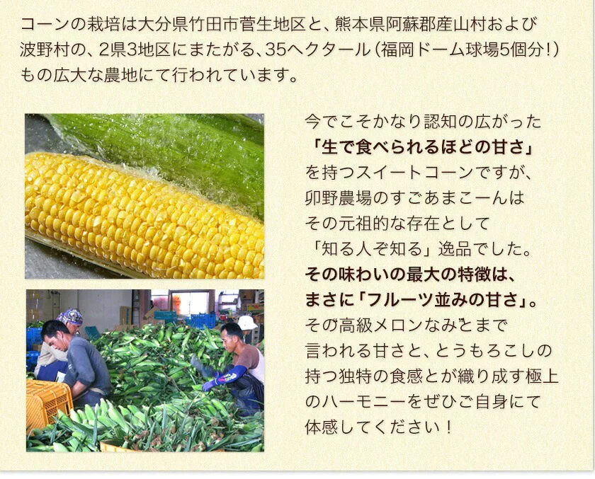 【TVで紹介】とうもろこし 卯野農場 すごあまこーん 12本入り 【3L~Lサイズ / 約3.6kg-4.8kg前後】  朝採り スイートコーン 《7-14営業日以内に発送予定（土日祝除く）》
