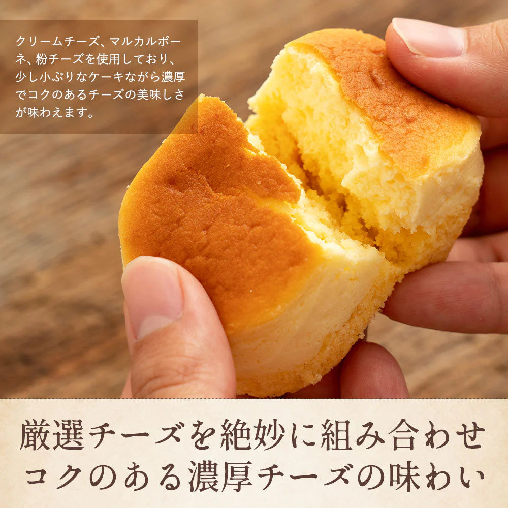 ケーキ 送料無料 よろこびのチーズケーキ & ちょこチョコ 各11個 合計22個セット お菓子 ケーキ 洋菓子 チーズケーキ チョコケーキ お取り寄せ スイーツ 詰め合わせ