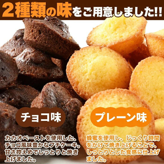 プチケーキ 2種（プレーン味、チョコ味）50個 フランス産