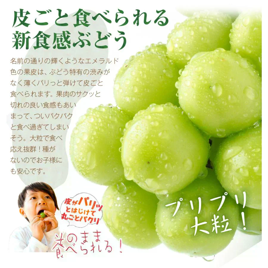 シャインマスカット 2房（約1.2kg）山梨産 （発送予定:9月下旬より）