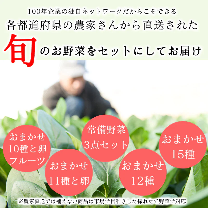 野菜 おまかせ 15種類 詰め合わせ　送料無料