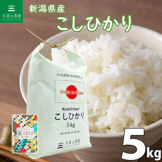 こしひかり 精米5kg 令和7年産 【古代米プレゼント付き】