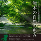 【１番早く届く！】【10月中旬頃〜12月末日までに発送】【予約】１番多い約450g！アイコ ミニトマト(280~300g+保証分150g)日本一の産地から農家直送 熊本県産 野菜 青果 フルーツ【カウシェファーム収穫対象商品】