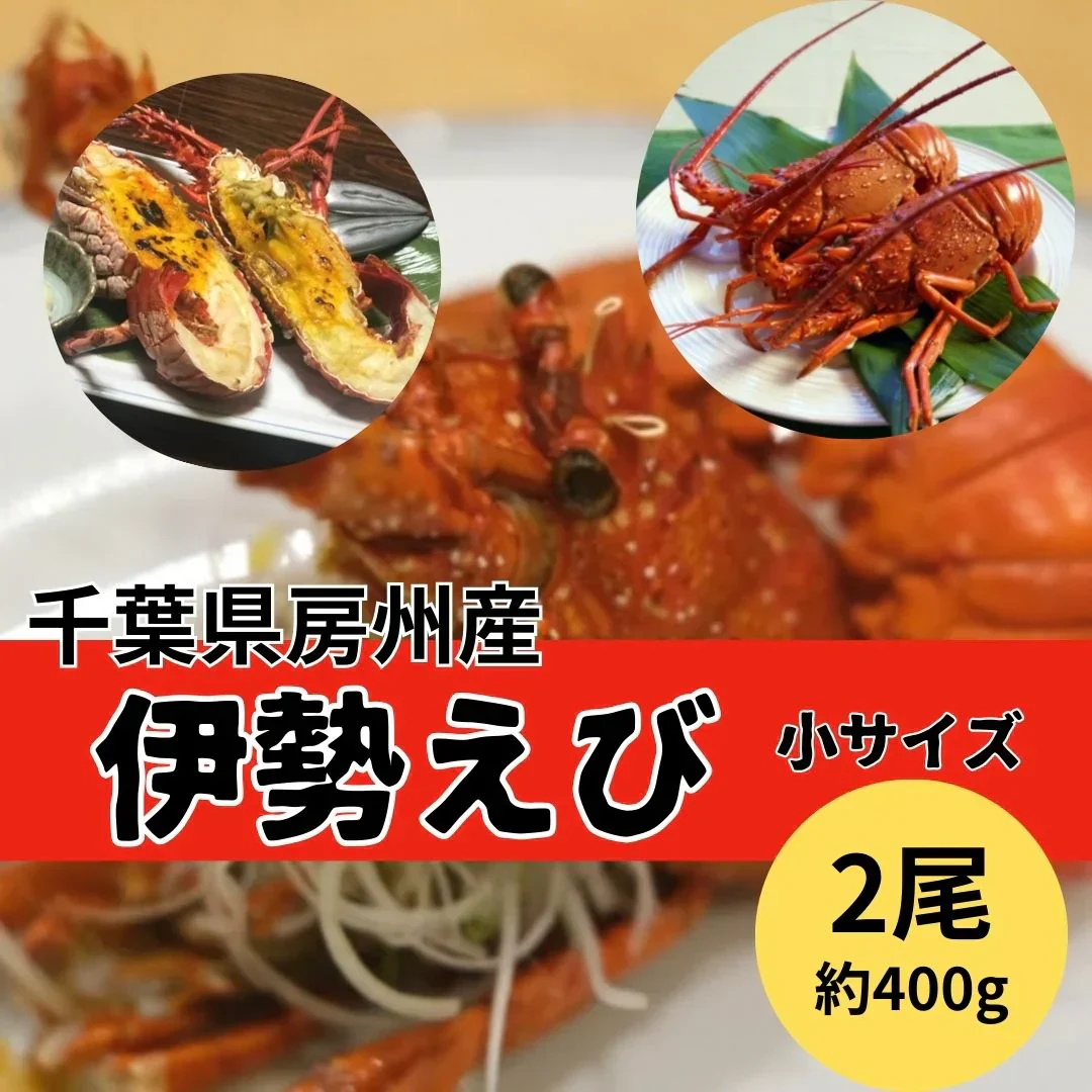 千葉県房州産　伊勢海老　 2尾   活締め急速凍結