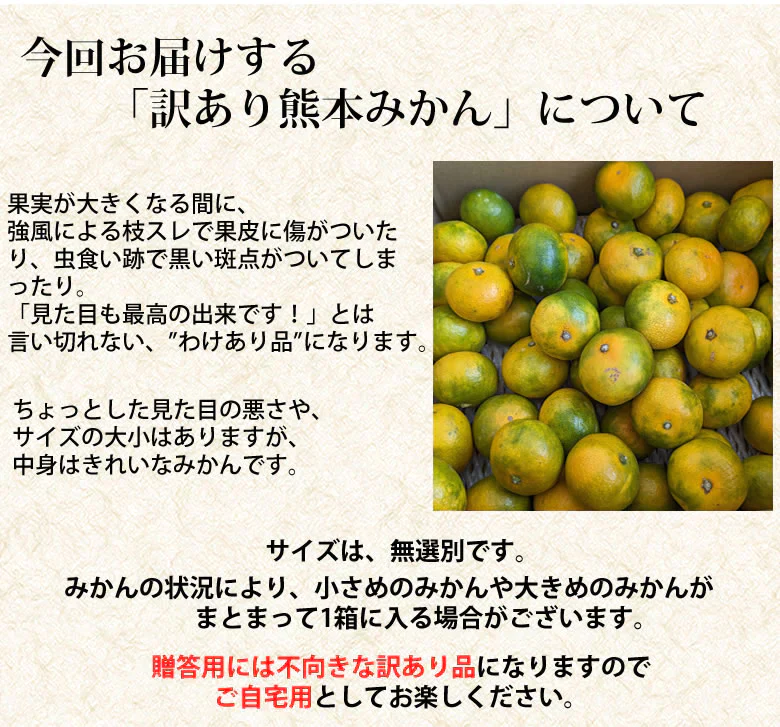 みかん 訳あり 送料無料 2kg 熊本みかん 熊本県産 極早生みかん 蜜柑 ミカン