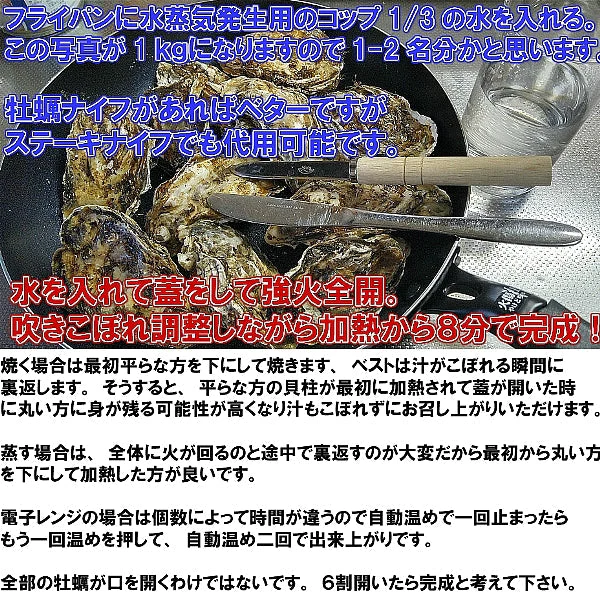 急速凍結 生食用冷凍牡蠣 殻付き 牡蠣 送料無料 ２ｋｇ（目安20個程度） 冷凍便 牡蠣 殻付き 殻付 カキ 牡蛎 かき 松島牡蠣屋 BBQ バーべキュー 二枚貝 貝類  kaki かきカキ