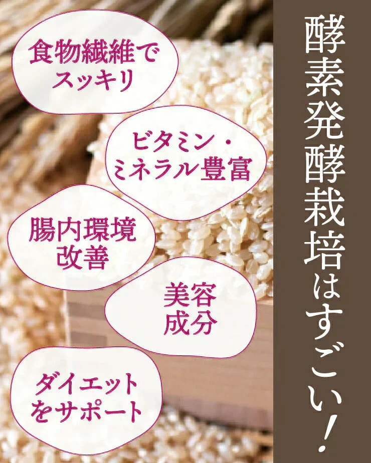 酵素発酵プレミアム玄米　 あきたこまち　 900g