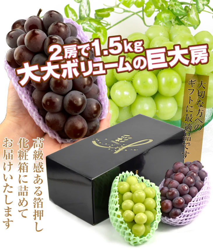 シャインマスカット&ピオーネセット 約1.5kg（大房 各1房）（発送予定:9月下旬より）