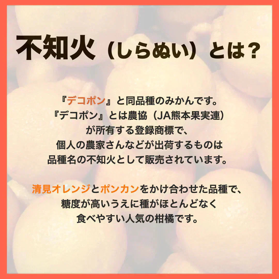 訳あり 不知火 箱込10キロ(9kg+保証分500g) デコポンと同品種 デコみかん 熊本産 送料無料