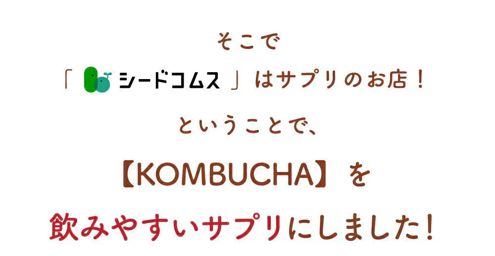 コンブチャ《約12ヶ月分》ダイエット サプリ サプリメント 美容 健康 酵素 乳酸菌  紅茶キノコ 酵母 ビタミンD 葉酸 ビタミンC ビタミンB 大豆ペプチド【大容量】