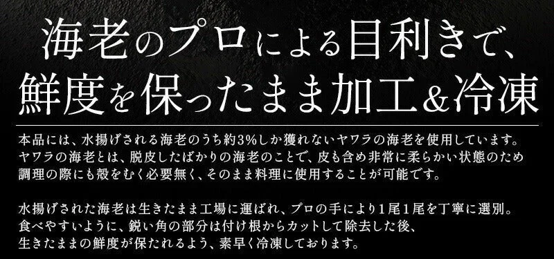ソフトシェル シュリンプ 500g 20〜25尾 殻付き えび 冷凍えび バナメイえび 海鮮 冷凍 海老 まとめ買い 大量 贈答 エビ おすすめ バナメイ［送料無料］