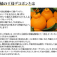デコポン 約2kg ハウス栽培 光センサー選果 みかん 御歳暮 ギフト 送料無料 DEKOPON 熊本県産 不知火 フルーツ お取り寄せ 蜜柑 ミカン