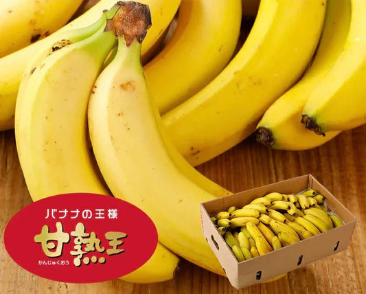 【バナナの王様！】完熟王 バナナ 5kg (約25-30本) ※4kg +1kg保証分 朝食 おやつ