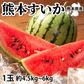 すいか 送料無料 訳あり スイカ 大玉すいか 1玉 約4.5kg～6kg M～L 熊本すいか お取り寄せ お取り寄せグルメ 熊本県産 すいか 西瓜 フルーツ