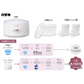 GREEN HOUSE グリーンハウス ヨーグルトメーカー flowge 500ml GH-KYGB500-GY （グレー）