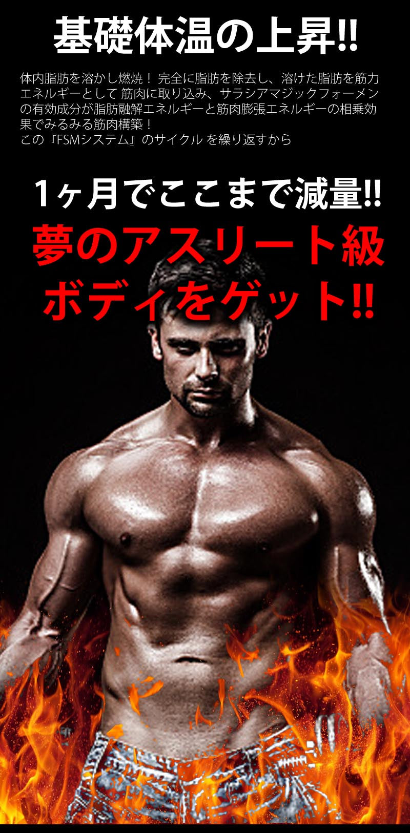 サラシアマジック フォーメン(Salasia Magic For Men) サラシア L-カルニチン 黒コショウ ホエイタンパク コレウスフォルスコリ 活性炭　アミノ酸 気力 活力 男力 バルクアップ 太く強く 最強のボディー プロテイン ダイエット 男性 筋トレ サプリメント シトルリン　アルギニン クレアチン カルニチン 亜鉛 マカ HMB スッポン マムシ BCAA 馬睾丸 日本 サプリメント