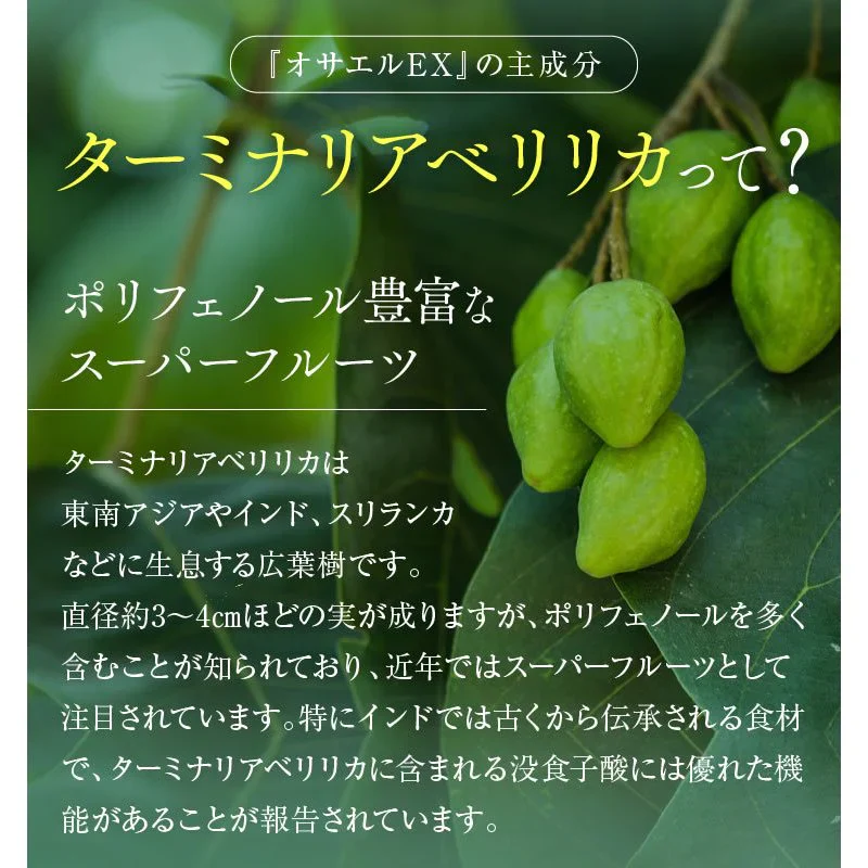 30日分（120粒）オサエルEX 食事に含まれる脂肪や糖の吸収を抑える 肥満気味な方の内臓脂肪とBMIを減らすのを助ける サプリ 【MBH公式】