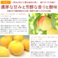 黄桃 約3kg 8-12玉入り 化粧箱 もも 桃 モモ ギフト お中元 黄色い桃 山形産 産地直送