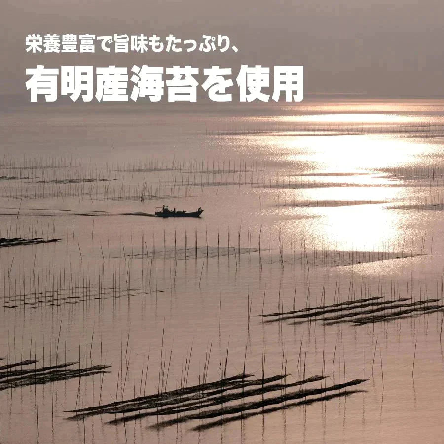 【最安値挑戦祭】訳あり 全形 焼きのり 有明 焼き海苔　45枚 送料無料 メール便限定