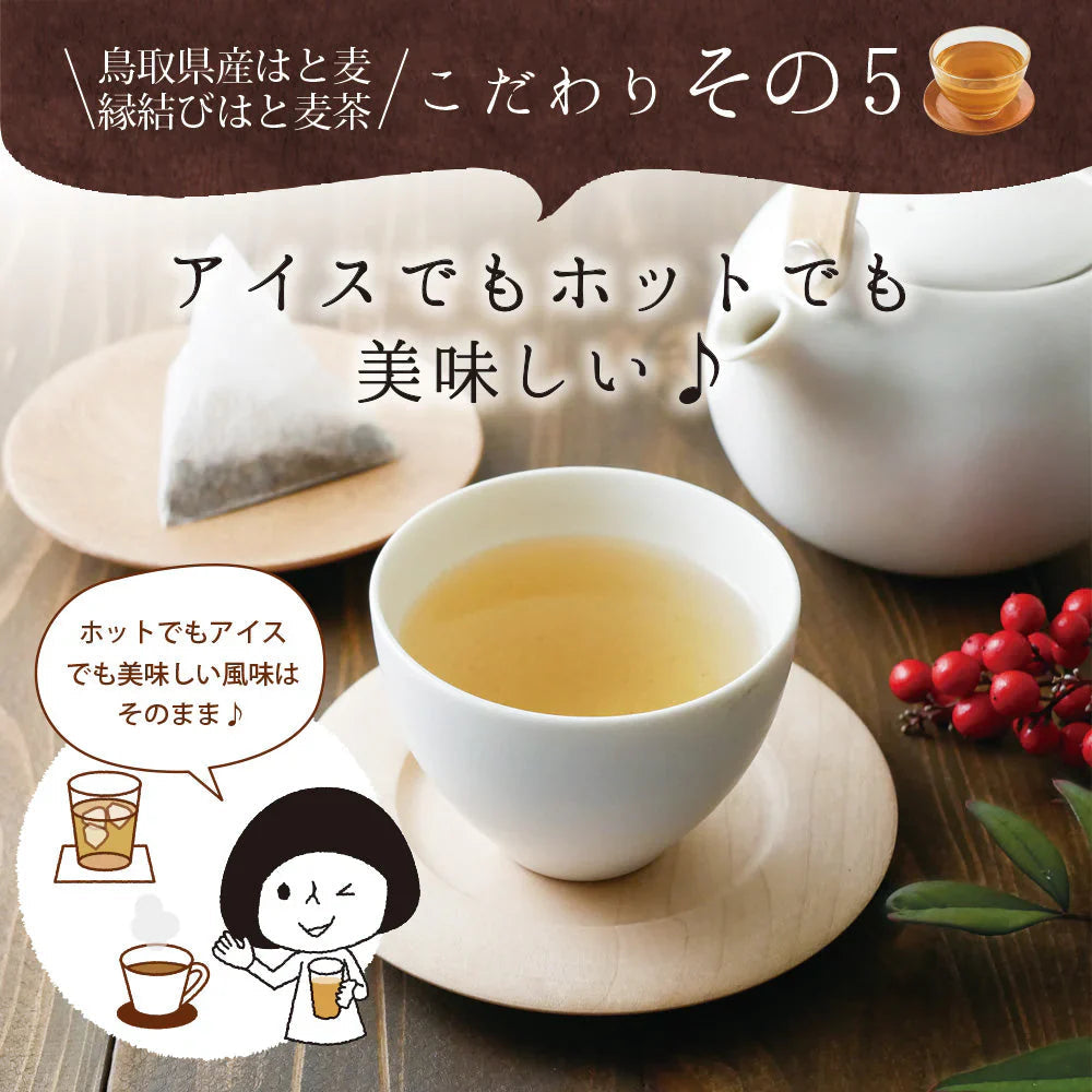 日本橋いなば園 はとむぎ茶ティーバッグ 60包 ネコポス メール便送料無料