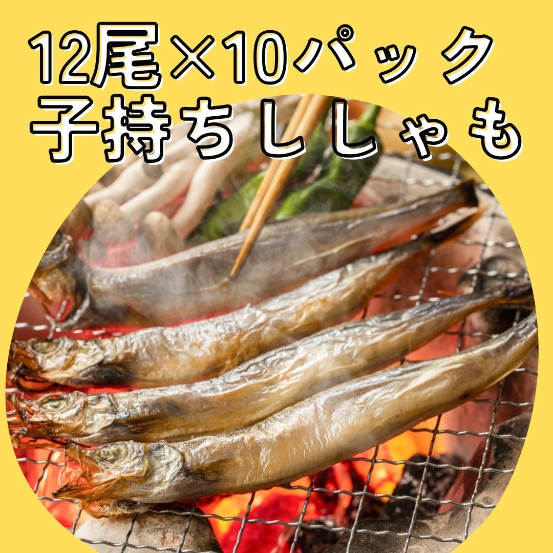 【お得品】子持ちししゃも12尾×10パック