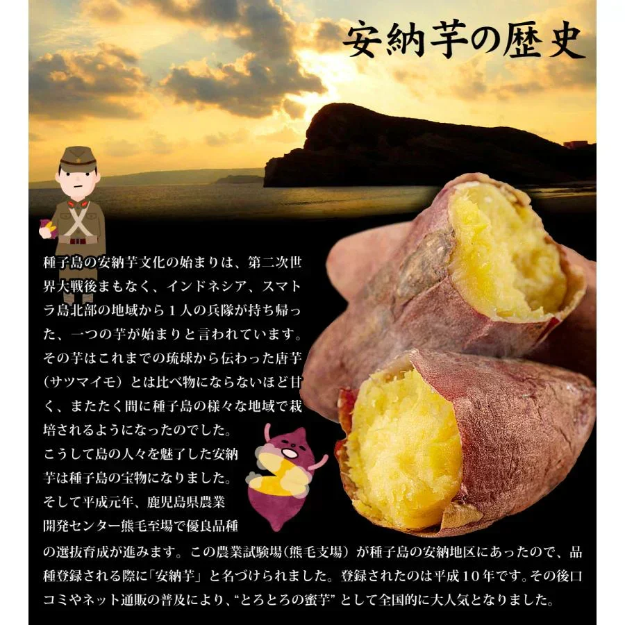 さつまいも 5kg 安納芋 正品 種子島産 送料無料 食品(発送予定:2026年11月中旬より)