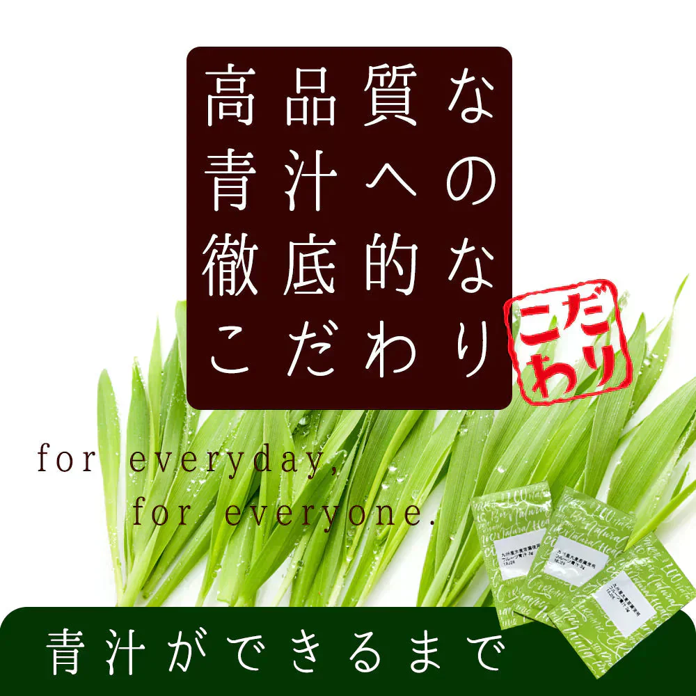 国産 フルーツ青汁 1ヶ月分 90g(3g×30包）[ 青汁 酵素 美容 ダイエット 健康 フルーツ 16種類 の フルーツパウダー と 105種類 の 野菜酵素 無農薬 ] K【ご新規さん限定商品】