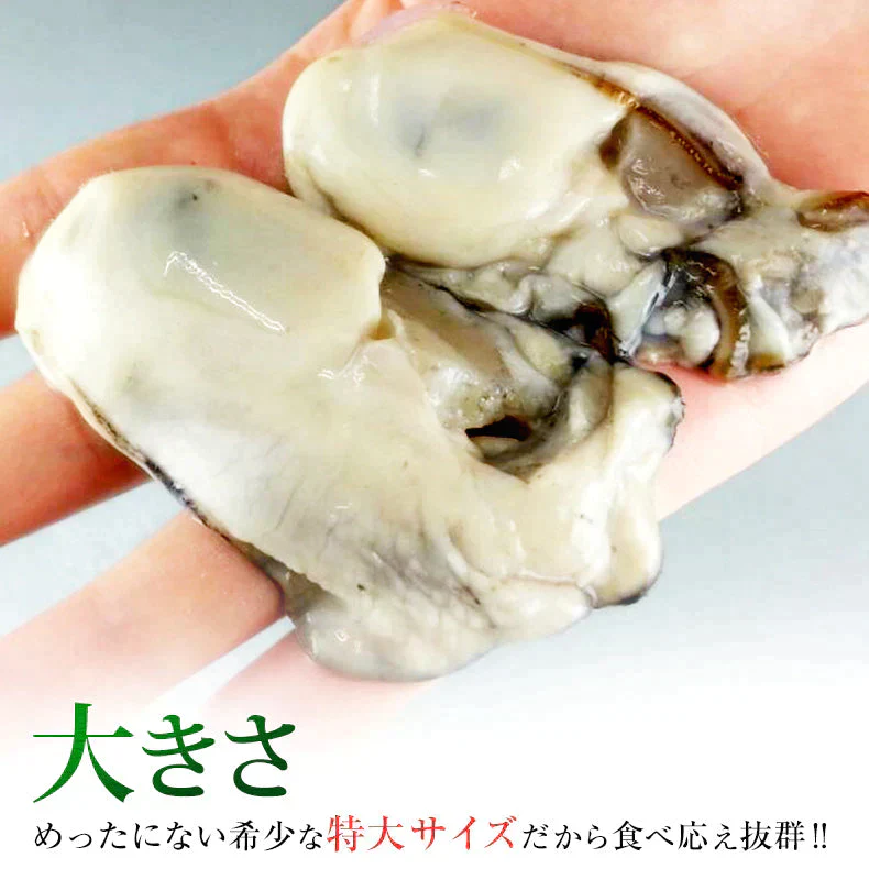 広島県産カキ1kg 冷凍（解凍後800g/35-40粒前後/Lサイズ）