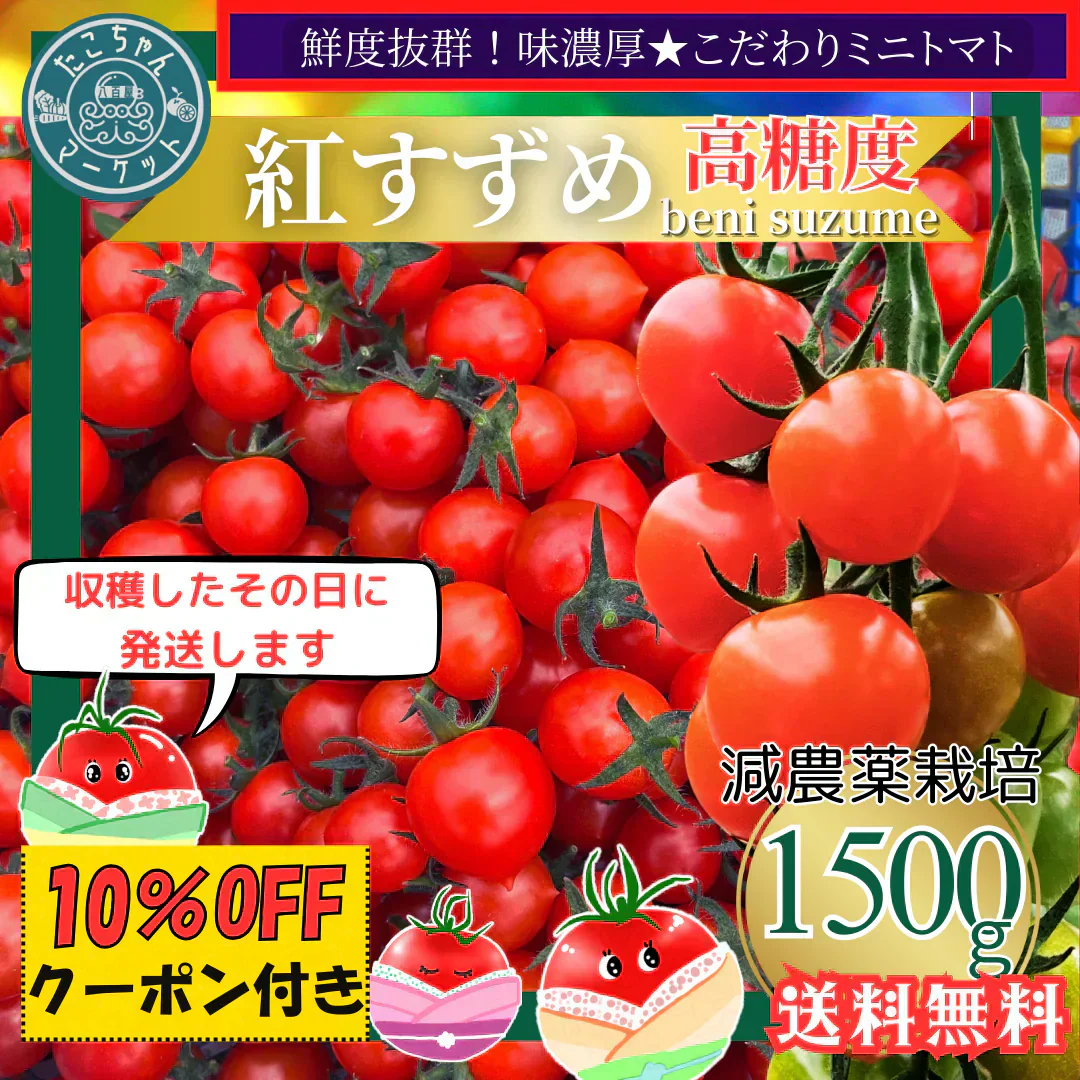 【3.4.5.6月限定】高糖度★収穫後すぐ発送！　高糖度紅すずめ　1500g　ミニトマト　こだわり農家の希少な逸品