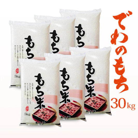 もち米 30kg 山形県産 でわのもち 令和7年産 餅米 国内産 新米 30キロ