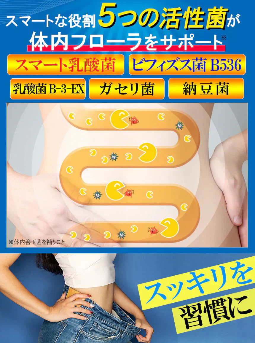 【NEW速戦即決 善玉菌】実感 ダイエットサプリメント今まで効果のなかったあなたに 激やせ リニューアル版 ダイエット痩せ菌 デブ菌 クレンズ 腸内 燃焼 スッキリ 乳酸菌 酵素 瘦せ型 短期 減量 サプリメント ビフィズス菌 酪酸菌 ガセリ菌 カルニチン オリゴ糖 ガルシニア ポリフェノール フローラ 腸活 短期減量 おすすめ 人気 ランキング 効果 強力 最強 短期ダイエット ダイエッター 腸内ケア腸内環境 腸内フローラ 日本製 国産 健康食品 ダイエット食品 「福袋」