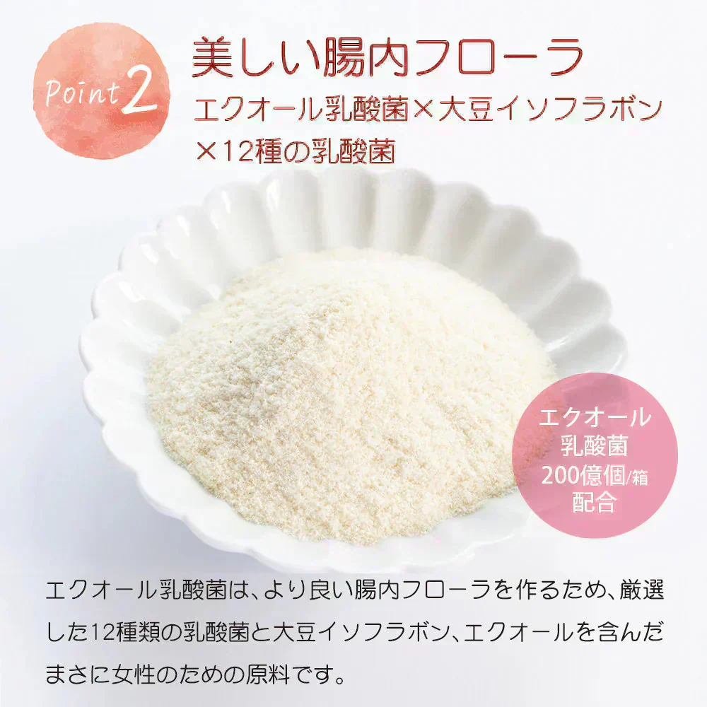 期間限定セール☆1ヵ月分【美容成分たっぷり】フルーツ高麗人参90g(3g×30包) 高麗人参 6年根 ｴｷｽ 韓国産 サポニン 漢方 田七人参 更年期 サプリメント 酵素 フラボノイド 血圧 エクオール ビーツ めぐり ホットフラッシュ 女性ホルモン イライラ 便秘 発酵 イソフラボン