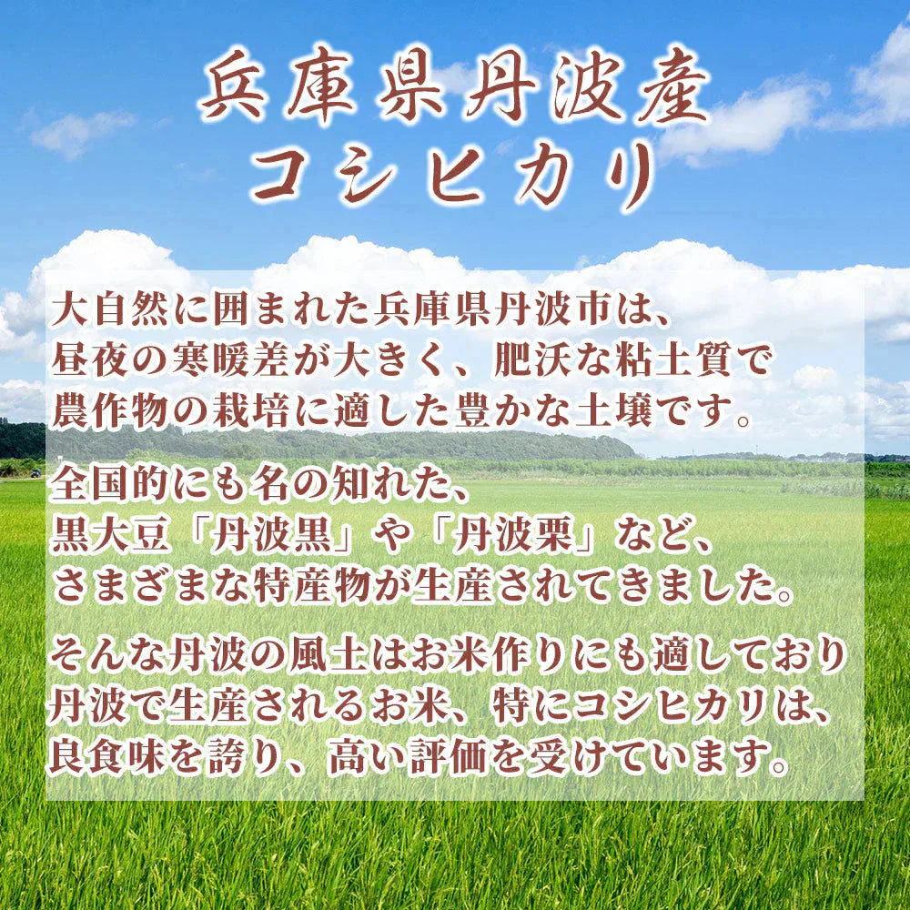 【白米】 令和7年産 丹波産 コシヒカリ 30kg(5kg×6袋) [丹波産コシヒカリ100％] 兵庫県産 単一原料米 送料無料 精米工場からの直送品