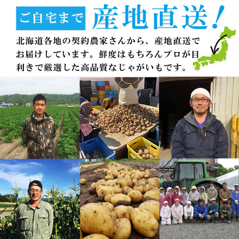 じゃがいも 北海道 グラウンドペチカ 変わった品種 送料無料 5ｋｇ 産地直送 ジャガイモ 北海道産 デストロイヤー